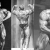 fdfshg